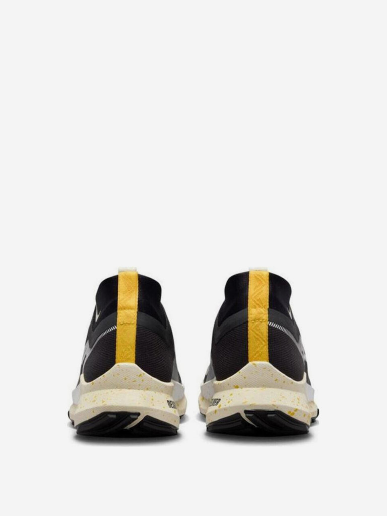 Кроссовки Nike Pegasus Trail 4 GORE-TEX
