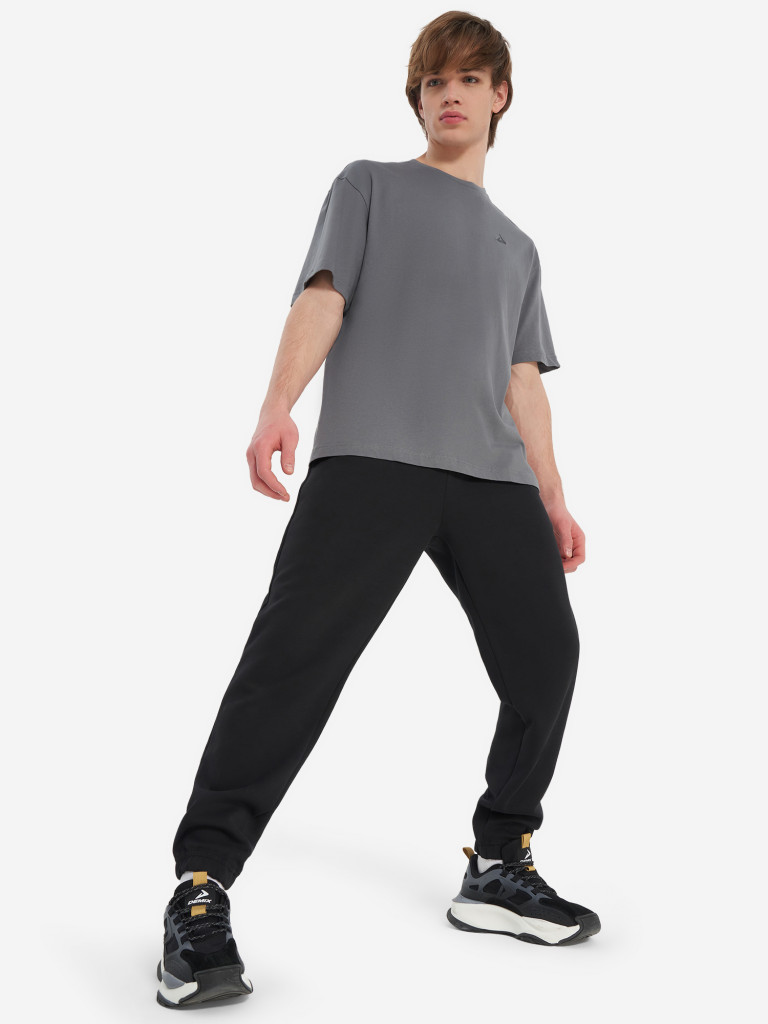 Футболка мужская Demix Basic