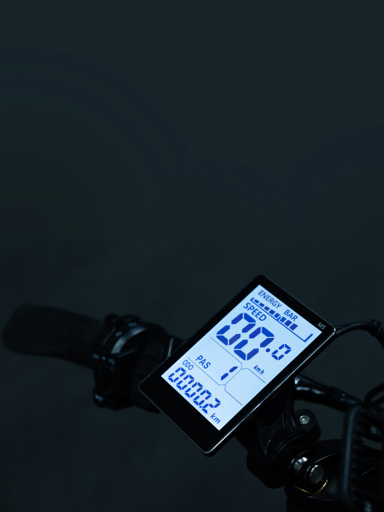 Электровелосипед EasyRider A-Type
