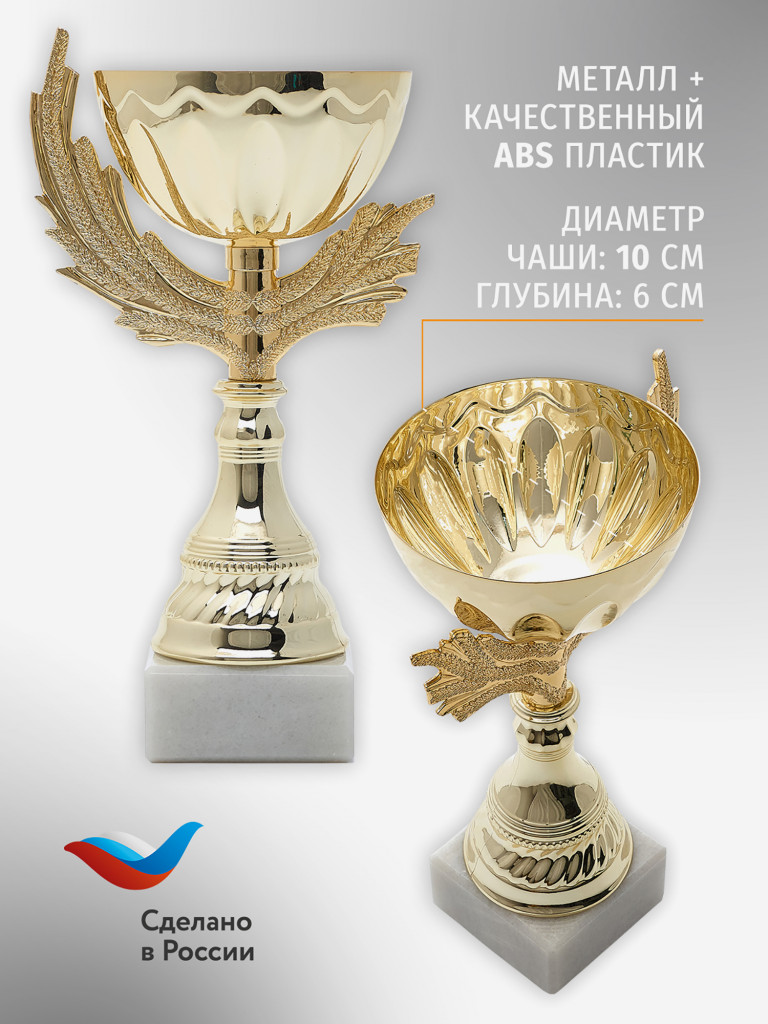 Спортивный кубок для награждения победителя 21.5 см
