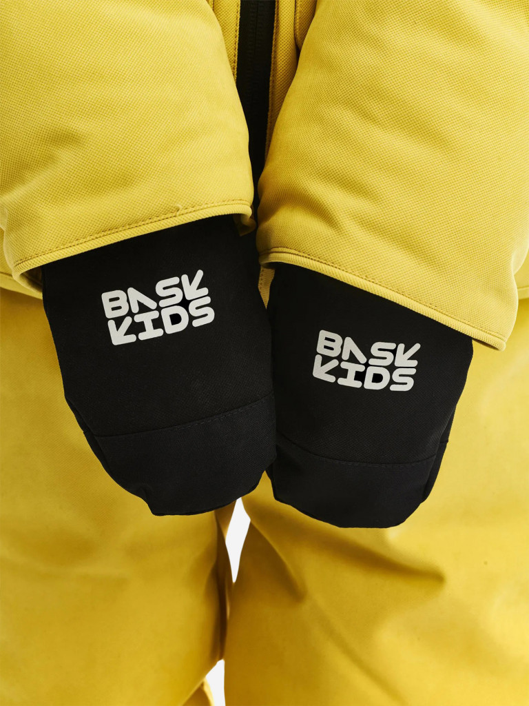 Утепленные рукавицы Bask Fana