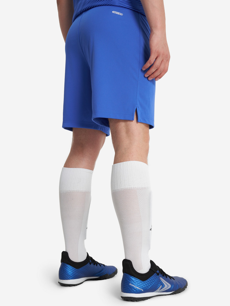 Шорты мужские Demix Legacy