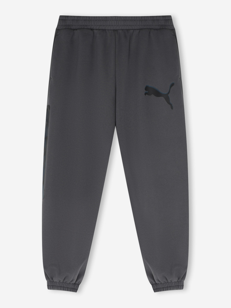 Брюки мужские PUMA Sport Street