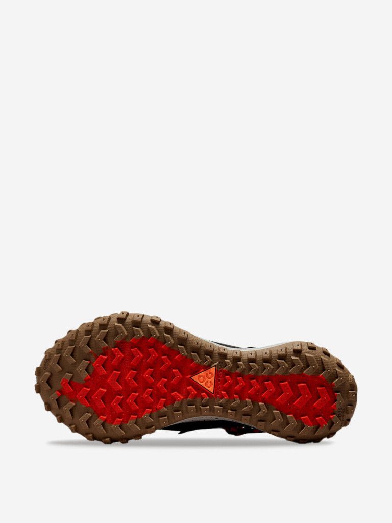 Кроссовки Nike ACG Mountain Fly Low GTX SE Hazel Rush