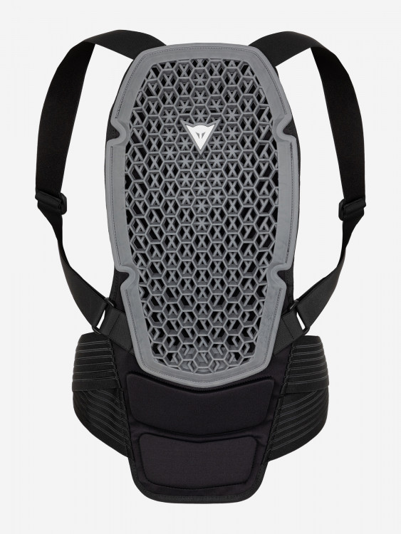 Защита спины Dainese PRO ARMOR BACK PROTECTOR G1