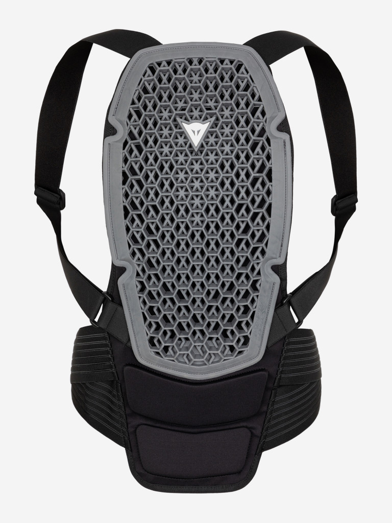 Защита спины Dainese PRO ARMOR BACK PROTECTOR G1