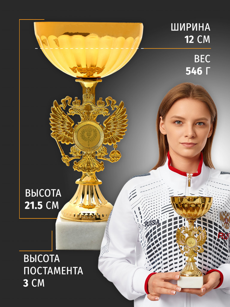 Кубок спортивный для награждения победителей 24.5 см