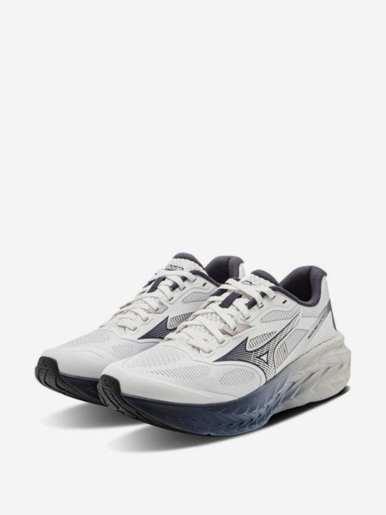 Кроссовки Mizuno ASTRO Abrasion