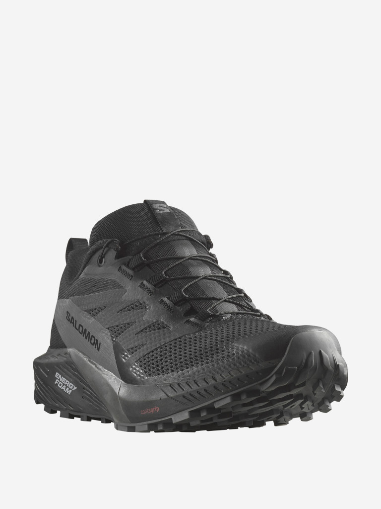 Кроссовки мужские Salomon Sense Ride 5 GTX