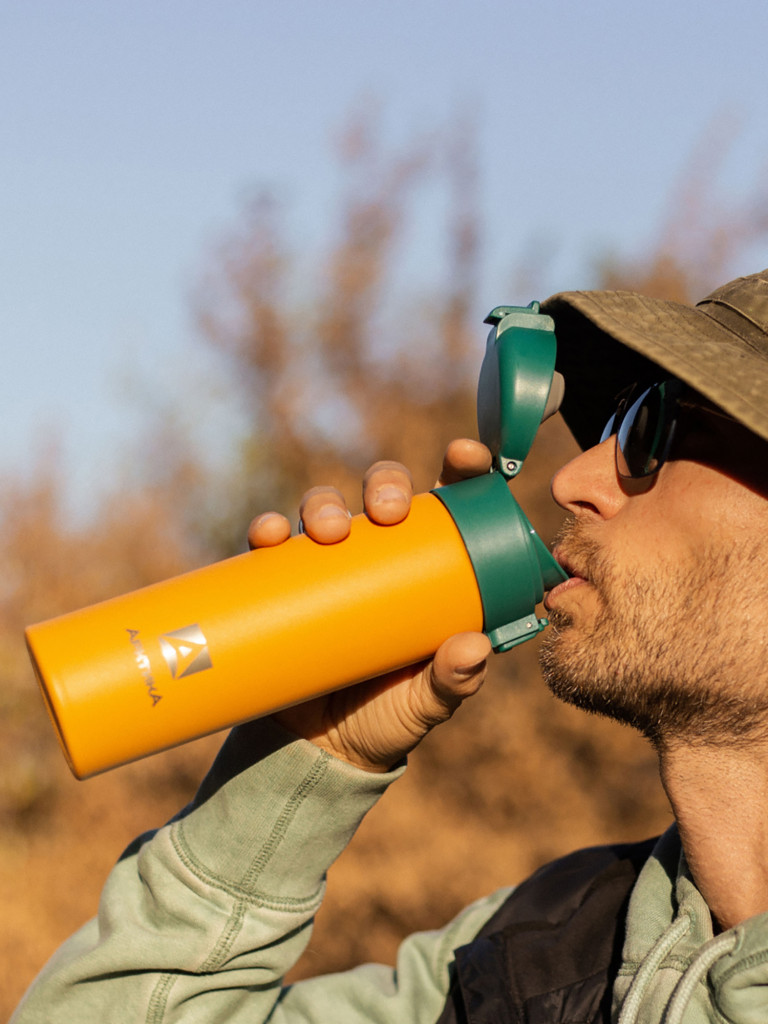 Термокружка вакуумная Арктика, 470 мл, со съемным ситечком, морошка