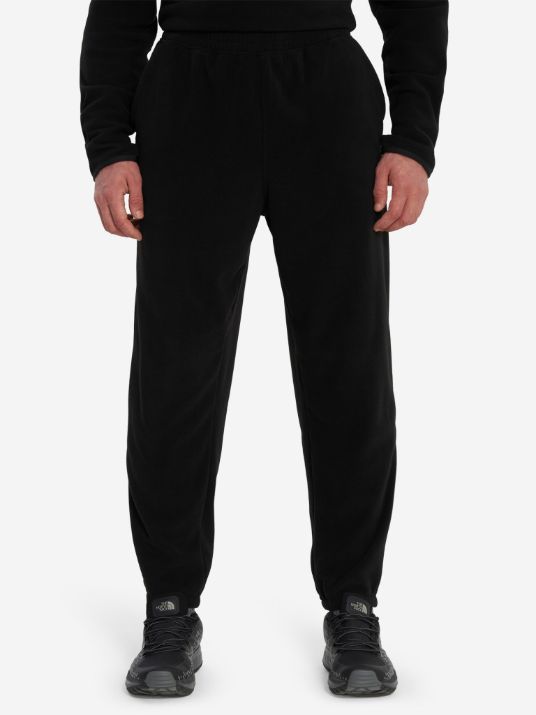 Брюки флисовые мужские The North Face Glacier