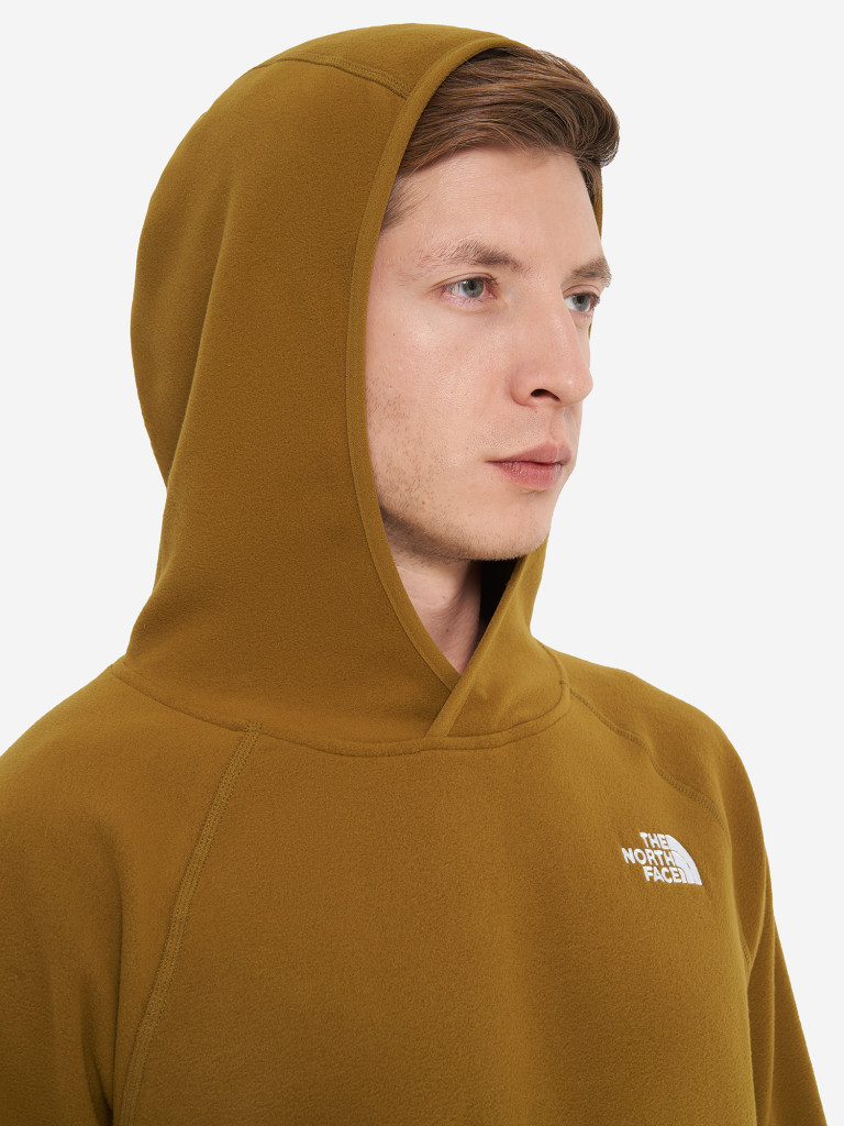 Худи мужское The North Face 100 Glacier