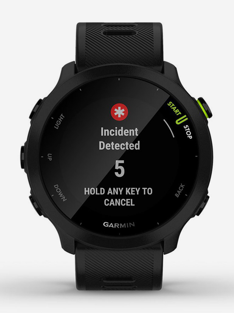Спортивные наручные часы Garmin Forerunner 55 Black