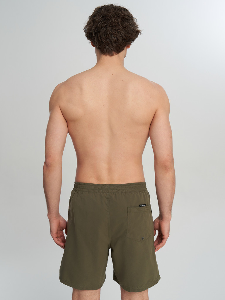 Шорты плавательные мужские Quiksilver Everyday Clicker Volley 17