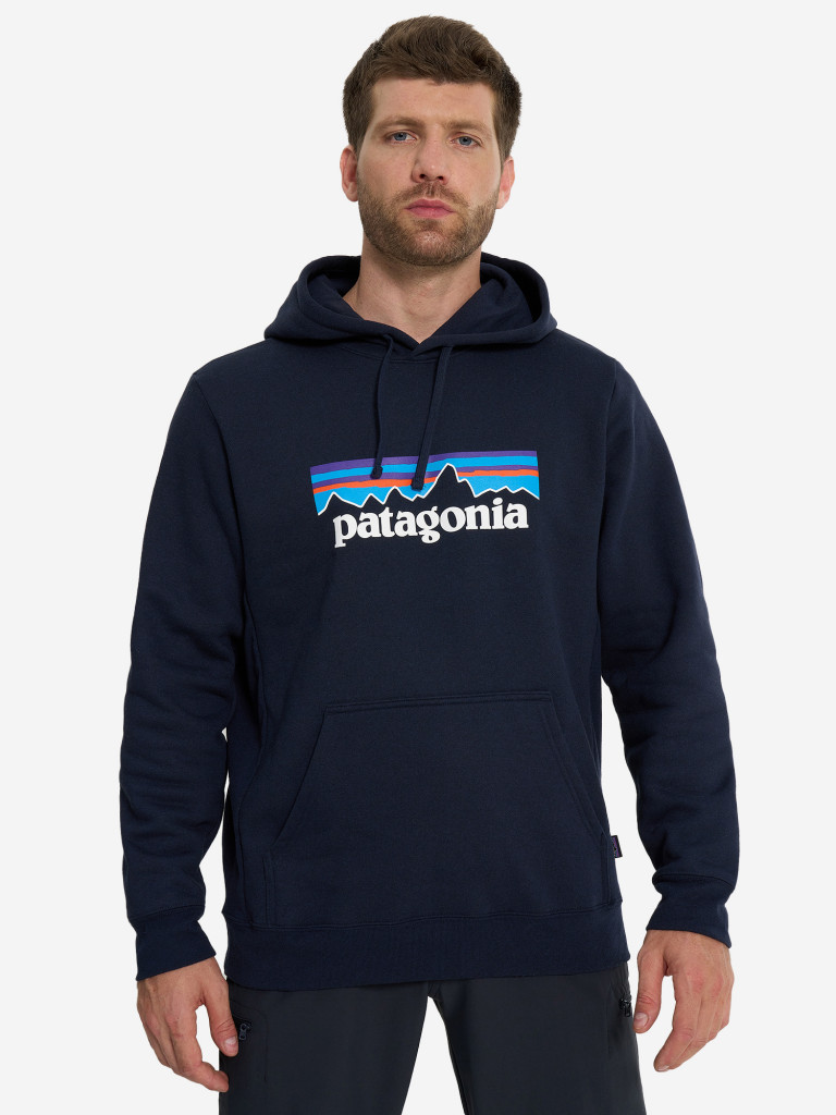 Худи мужское Patagonia Logo Uprisal