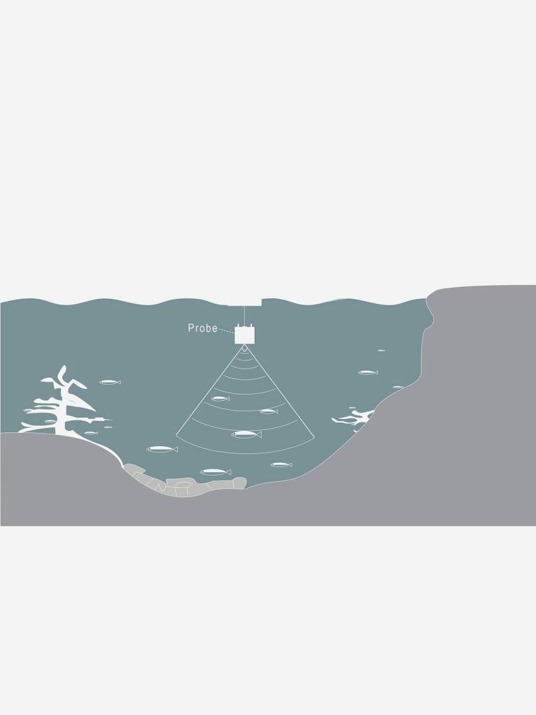 Эхолот Lucky Pioneer FF1200-T