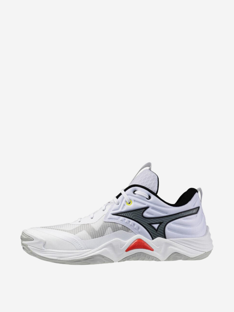 Кроссовки мужские Mizuno Wave Momentum Elite