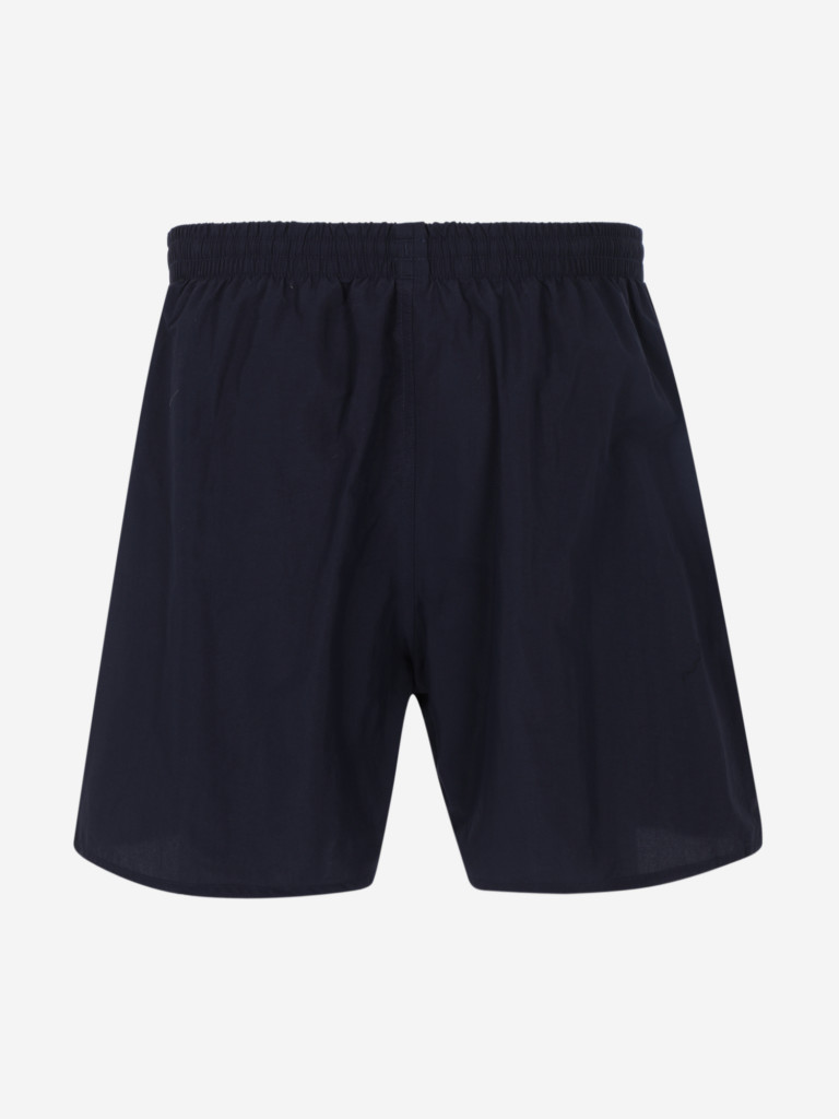 Шорты плавательные мужские Speedo Plus Size Essential