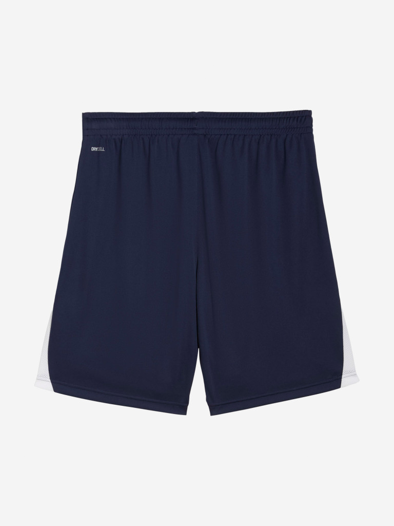 Шорты мужские PUMA Teamliga26