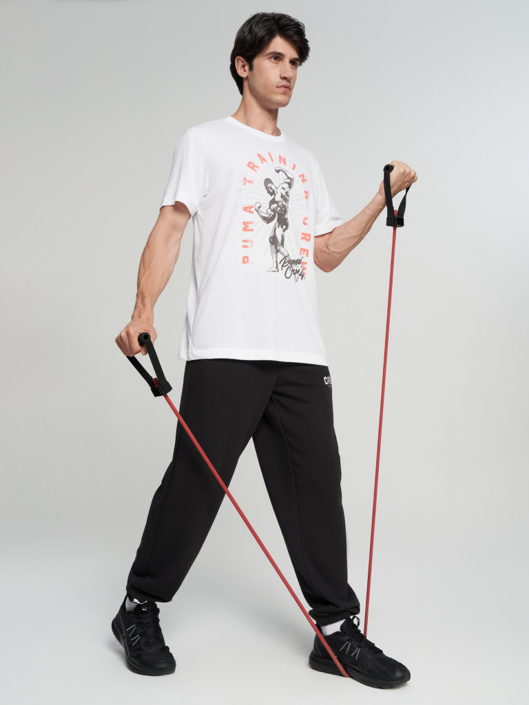 Футболка мужская PUMA