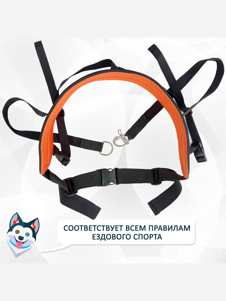 Пояс totemica детский для каникросса (бег с собакой) и скиджоринга (езда на лыжах за собакой)