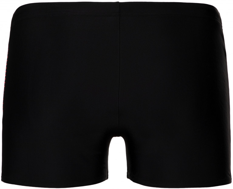 Плавки-шорты мужские Speedo Tech Logo