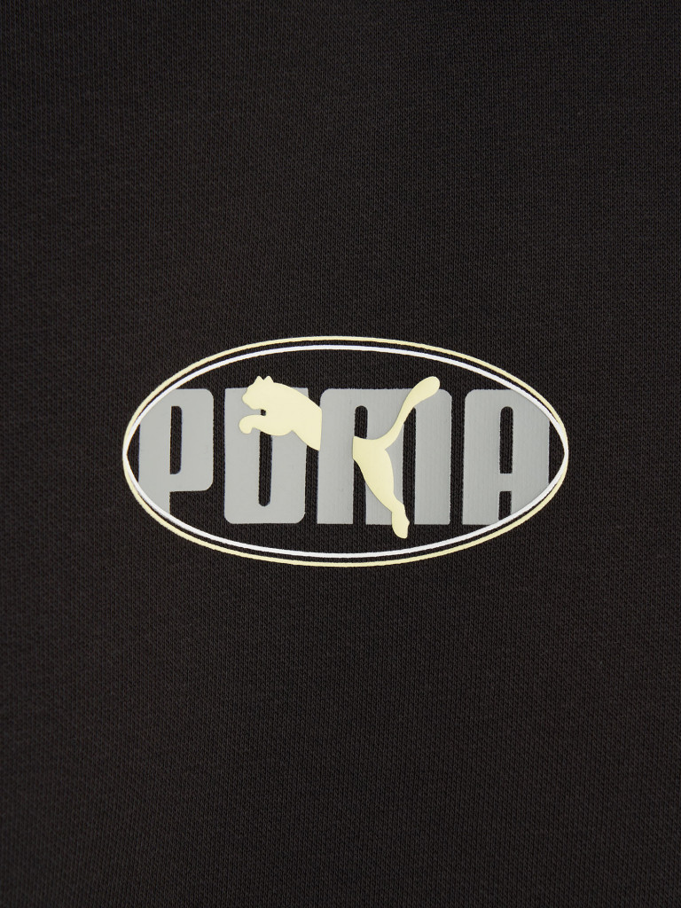 Худи мужское PUMA Ess Logo Lab Execution