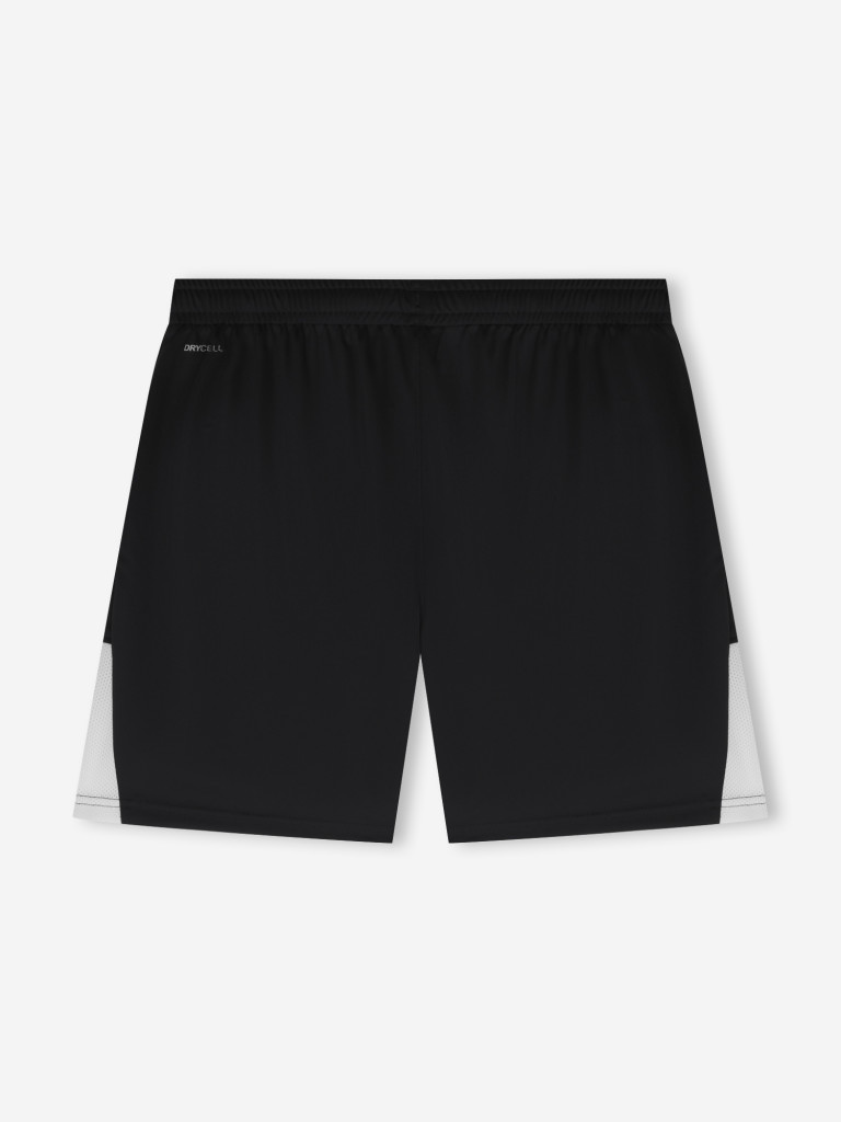 Шорты мужские PUMA Teamliga26