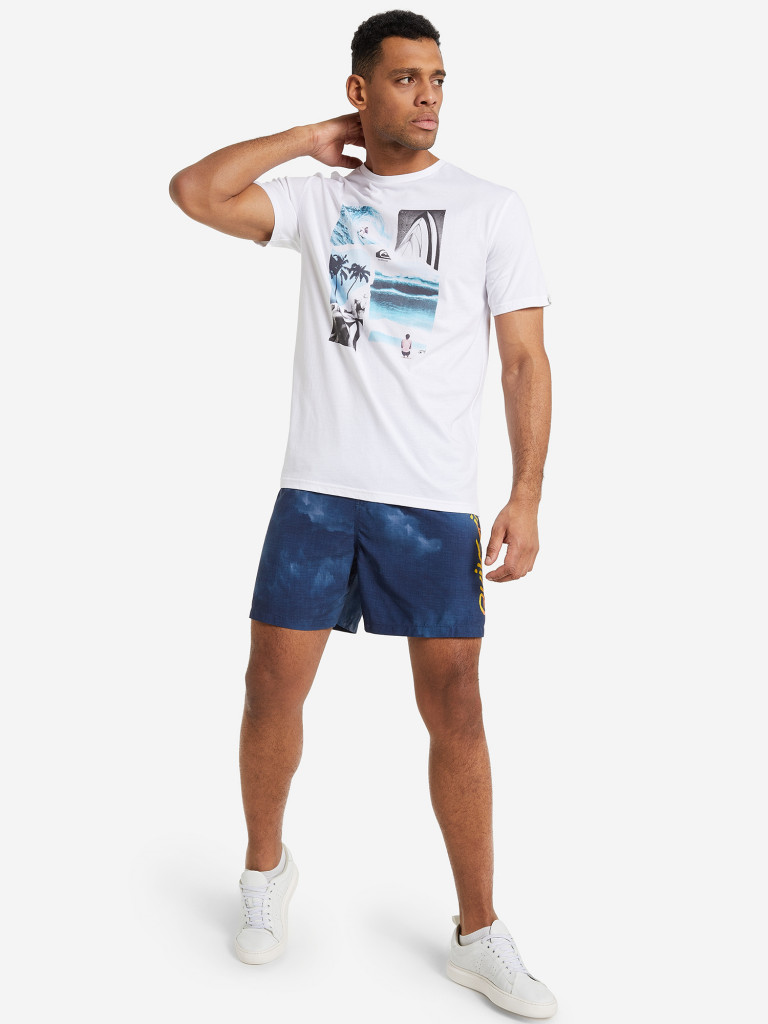 Шорты пляжные мужские Quiksilver Deksey Accelerator