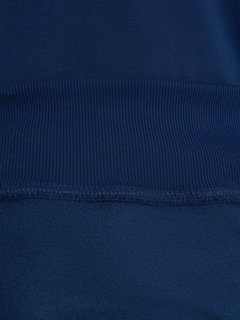 Худи мужское The North Face Raglan Box Nse