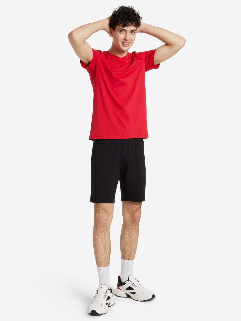 Футболка мужская GSD