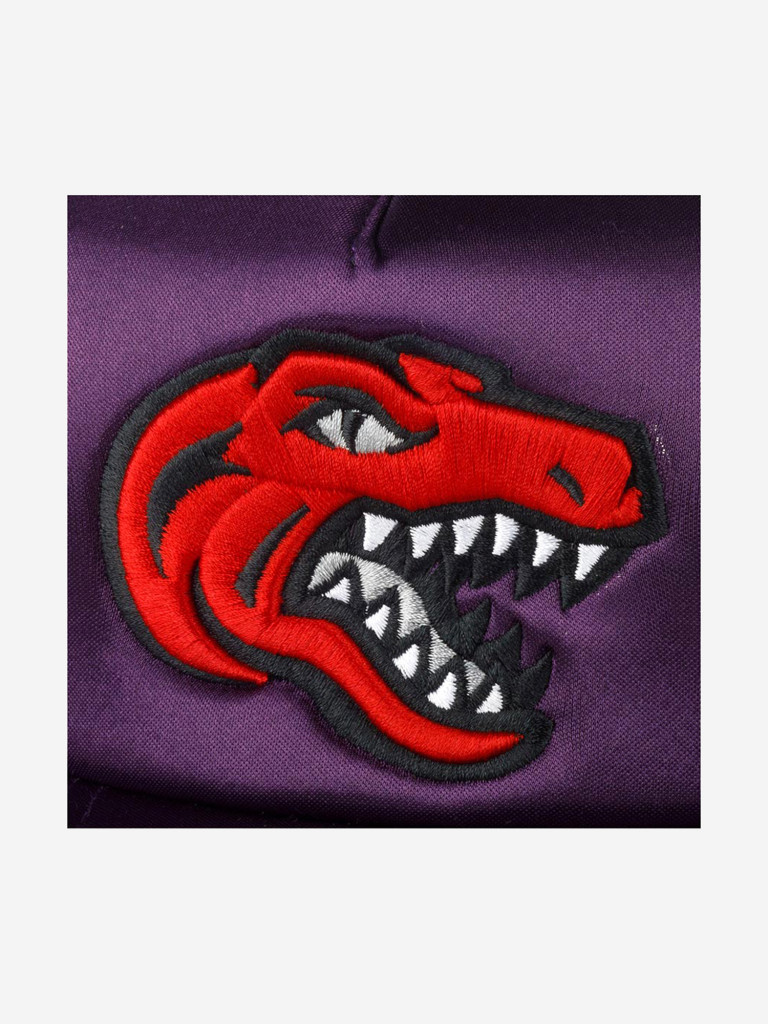 Бейсболка MITCHELL NESS HHSS3467-TRAYYPPPPURP Toronto Raptors NBA (фиолетовый)