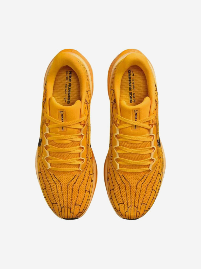 Кроссовки Nike Air Zoom Pegasus 41