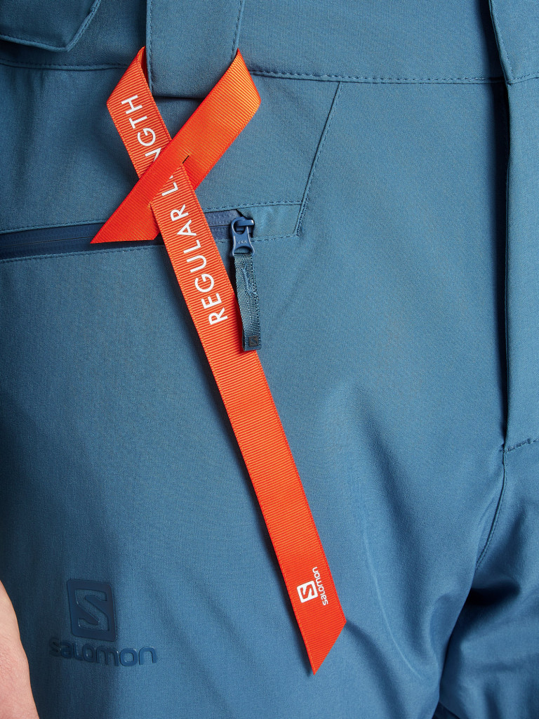 Брюки горнолыжные мужские Salomon Stance