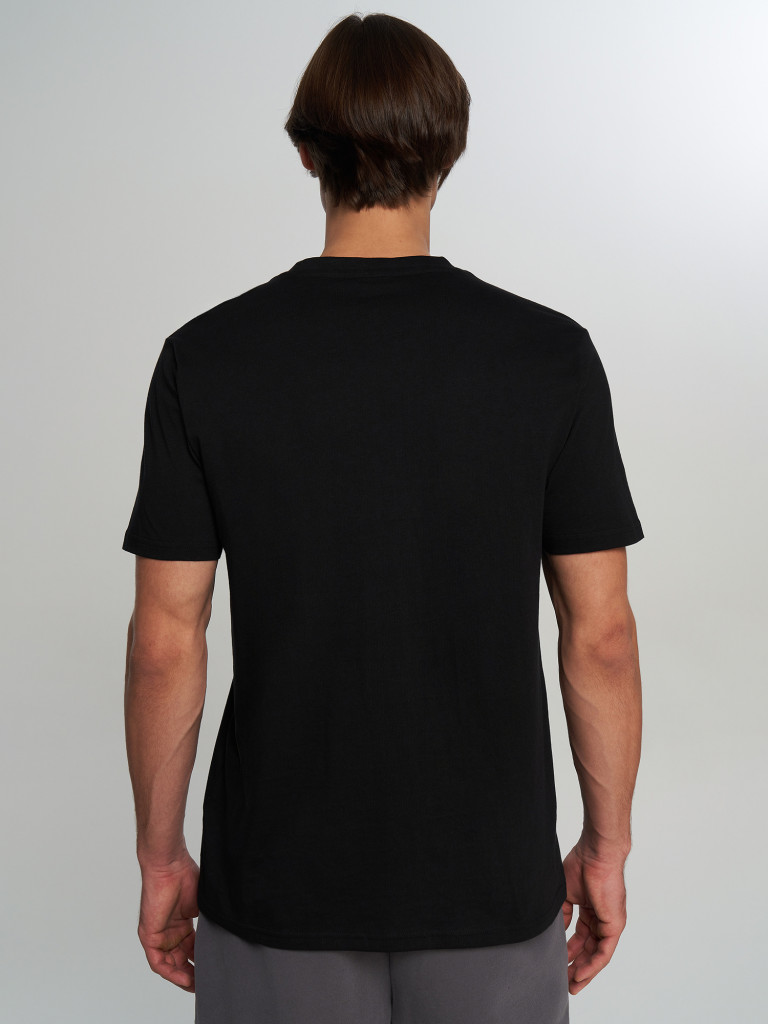 Футболка мужская Champion