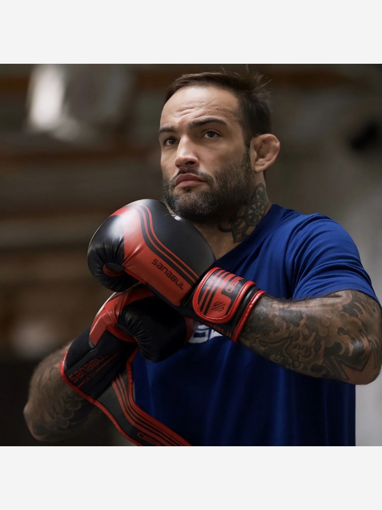 Боксерские перчатки Sanabul Core Series SA-CS-BG