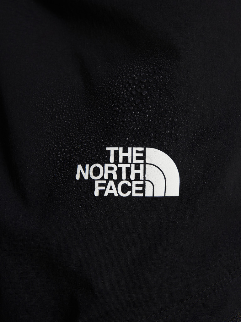 Брюки мужские The North Face Exploration