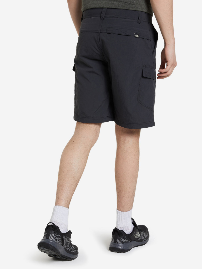 Шорты мужские The North Face Horizon Cargo