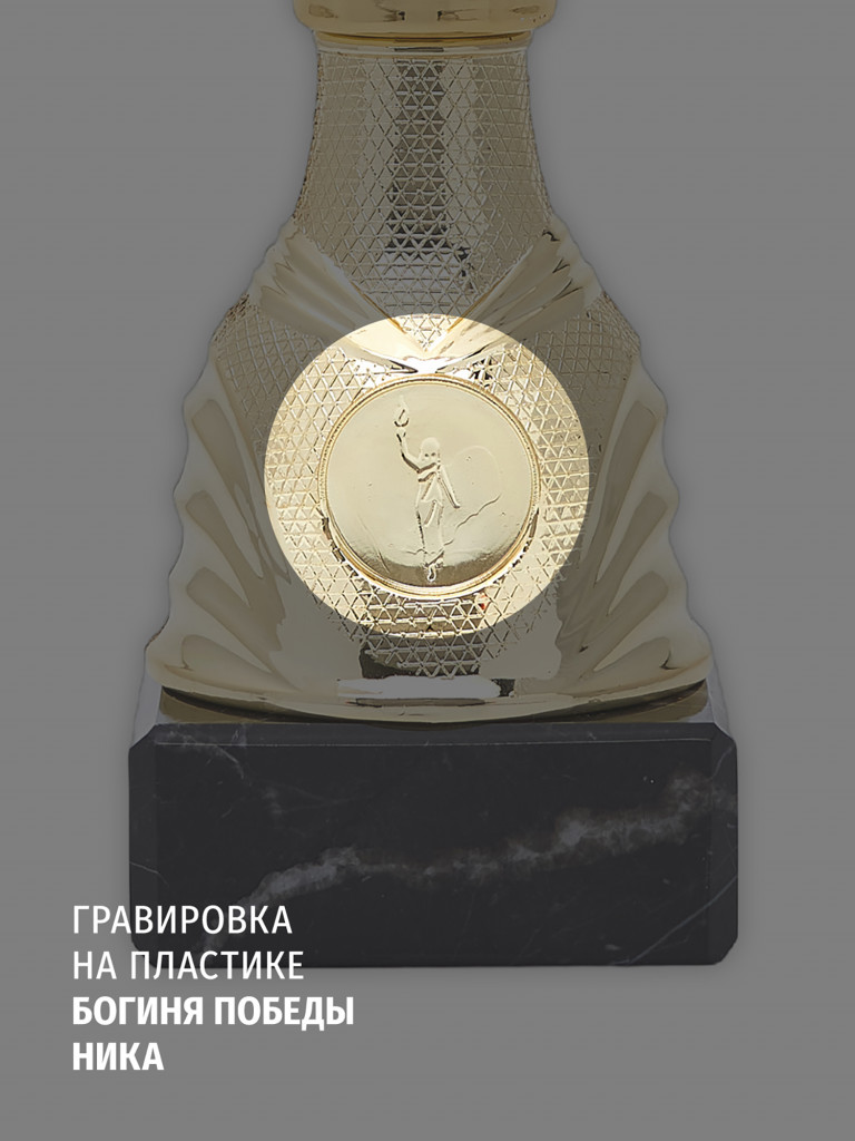 Спортивный кубок для награждения победителя 35 см красный