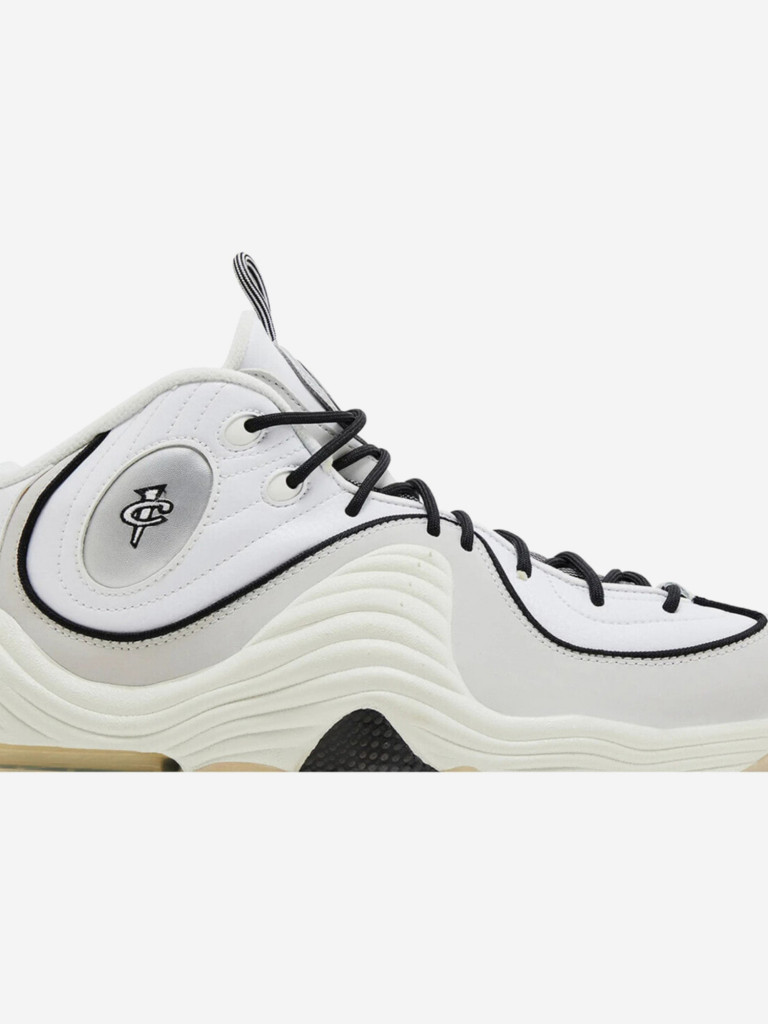 Кроссовки мужские Nike Air Penny 2