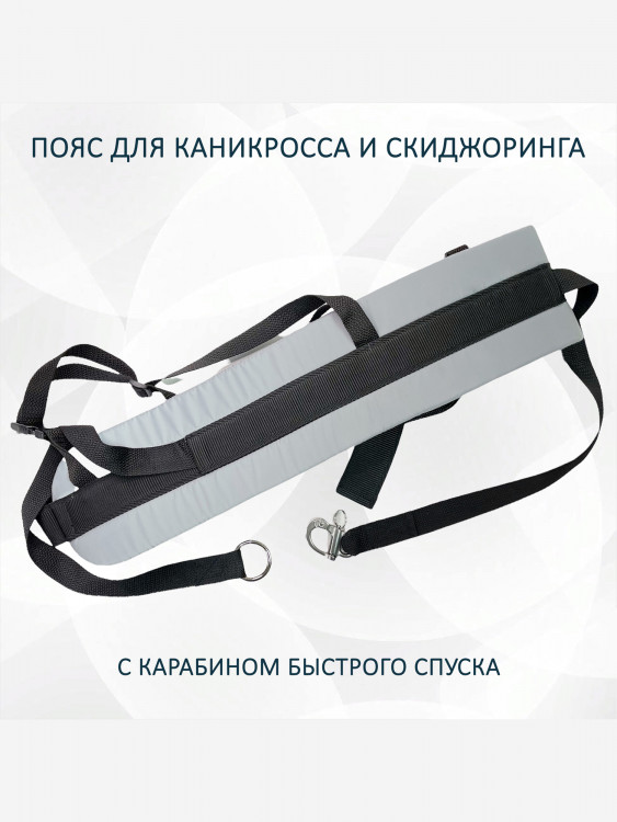 Светоотражающий пояс totemica для каникросса (бег с собакой) и скиджоринга (езда на лыжах за собакой)