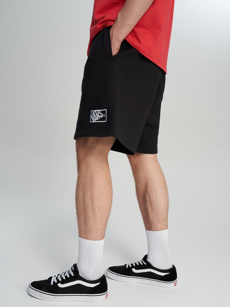 Шорты мужские Vans Blocked Box