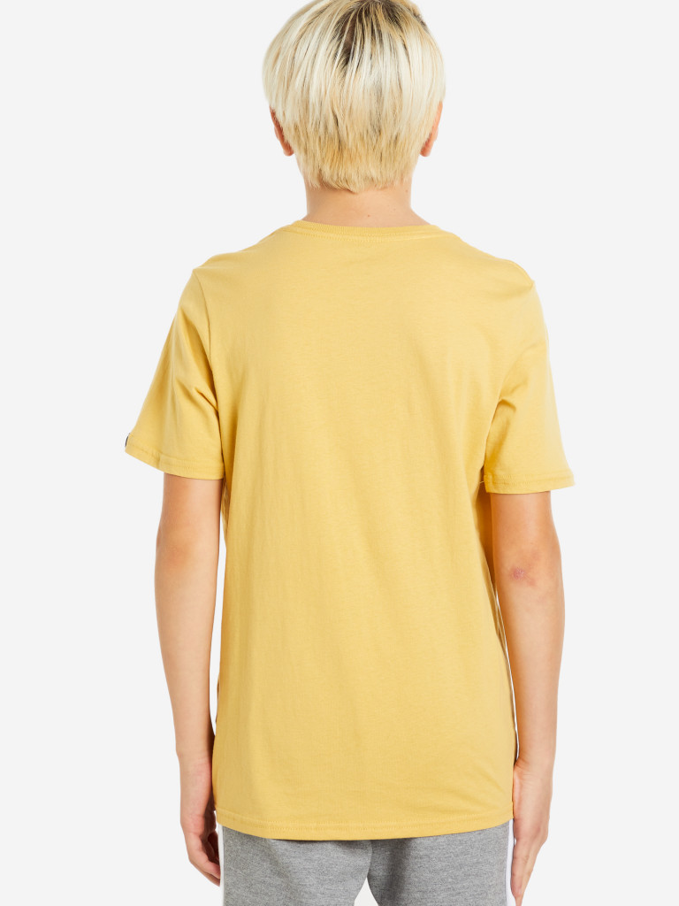 Футболка для мальчиков Quiksilver Skulltrooper