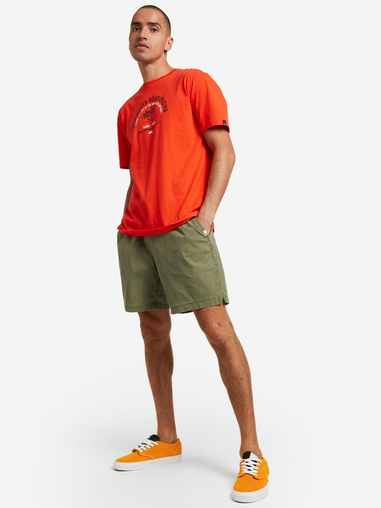 Шорты мужские Quiksilver Taxer