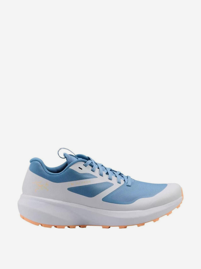 Кроссовки мужские Arc'teryx Norvan LD 3
