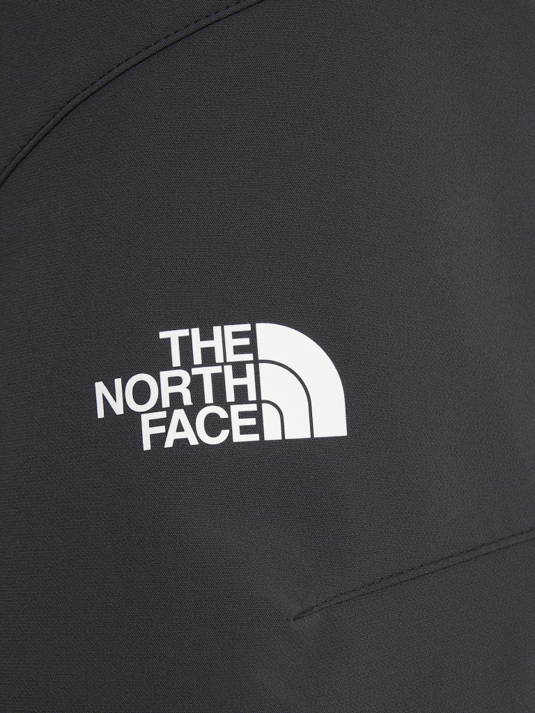Брюки мужские The North Face Diablo Reg