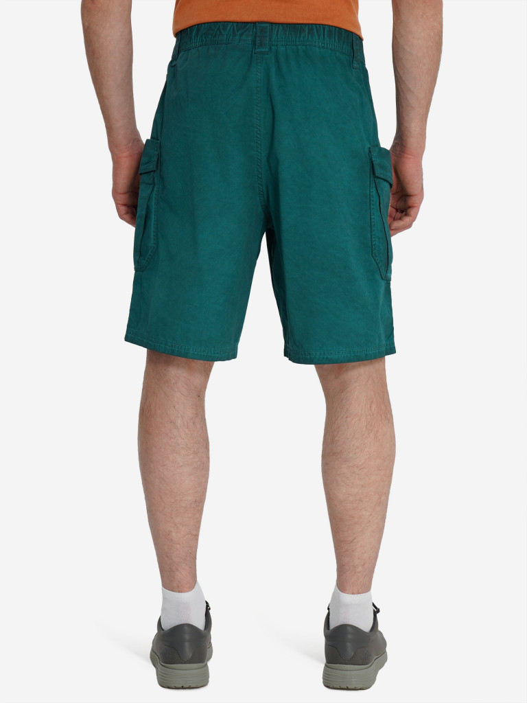 Шорты мужские Northland