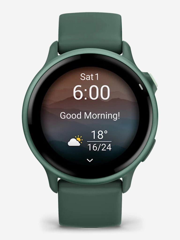 Спортивные часы GARMIN Vivoactive 6
