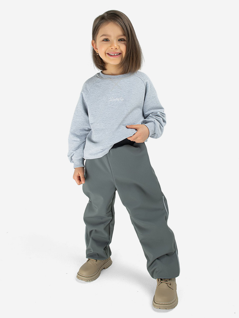 Брюки Softshell демисезонные BUNGLY