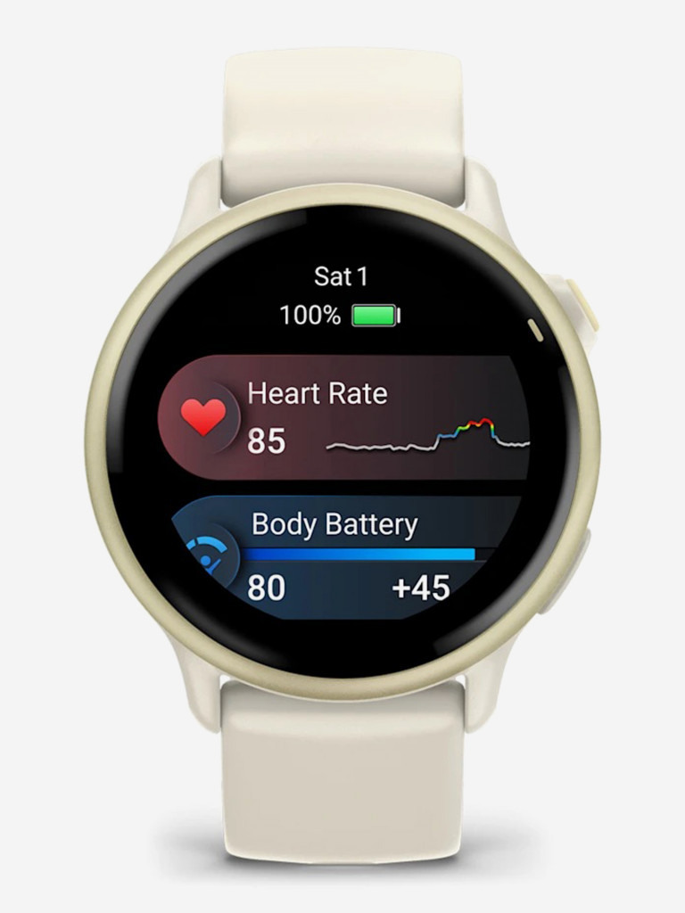 Спортивные часы GARMIN Vivoactive 6
